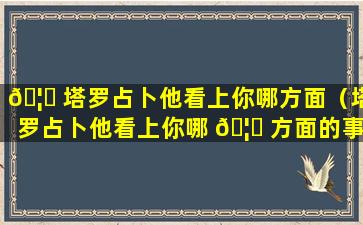 🦈 塔罗占卜他看上你哪方面（塔罗占卜他看上你哪 🦆 方面的事情）